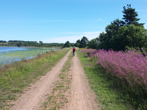 biking, Confederation Trail, Prince Edward Island, BikeTripper.net