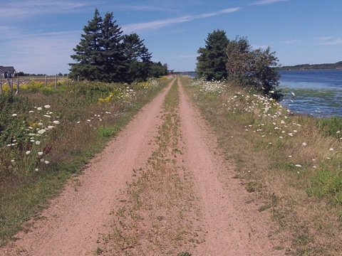 bike Confederation Trail, Prince Edward Island, Canada biking