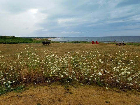 bike Confederation Trail, Prince Edward Island, Canada biking