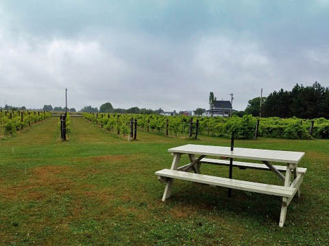 bike Confederation Trail, Prince Edward Island, Canada biking