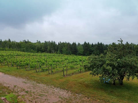 bike Confederation Trail, Prince Edward Island, Canada biking