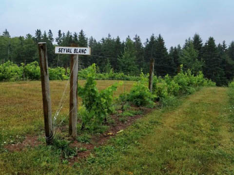 bike Confederation Trail, Prince Edward Island, Canada biking