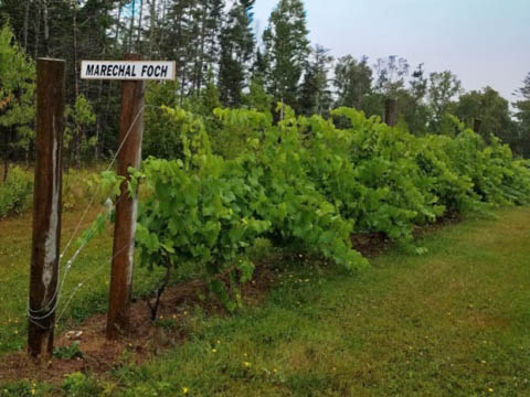 bike Confederation Trail, Prince Edward Island, Canada biking