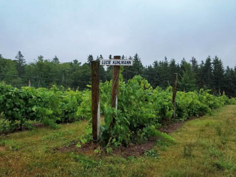 bike Confederation Trail, Prince Edward Island, Canada biking