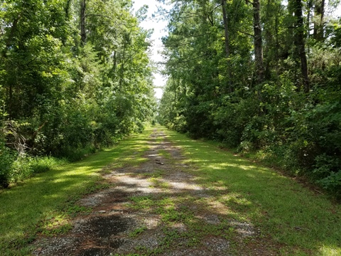 bike Georgia, Georgia Coast Rail-Trail, biking, BikeTripper.net