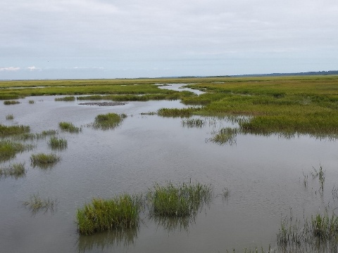 bike Georgia, Jekyll Island, biking, BikeTripper.net