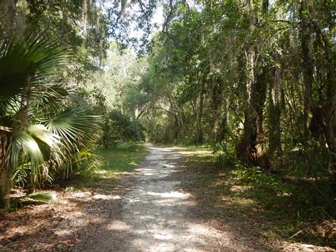 bike Georgia, Jekyll Island, biking, BikeTripper.net
