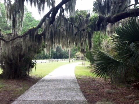 bike Georgia, Jekyll Island, biking, BikeTripper.net