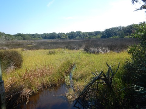 bike Georgia, Jekyll Island, biking, BikeTripper.net