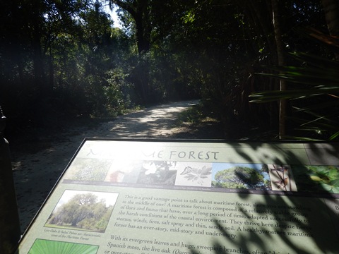 bike Georgia, Jekyll Island, biking, BikeTripper.net