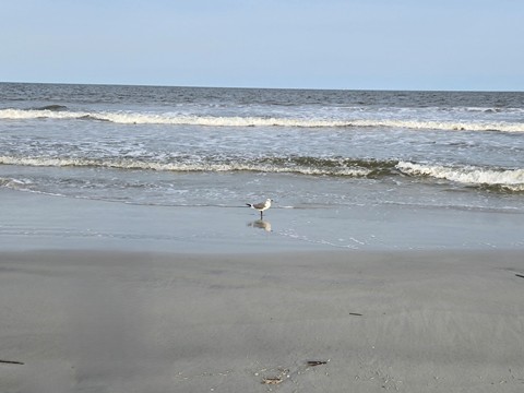 bike Georgia, Jekyll Island, biking, BikeTripper.net
