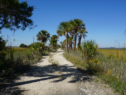 Biking McQueen's Island Trail, Georgia, BikeTripper.net