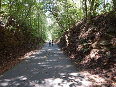 bike Georgia, biking Silver Comet Trail, BikeTripper.net