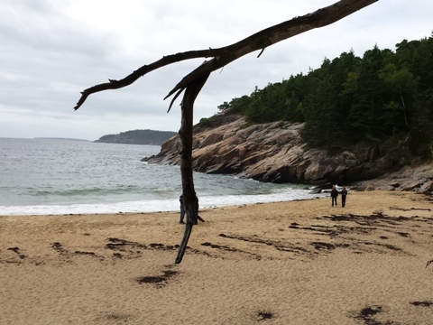 Acadia National Park, Maine