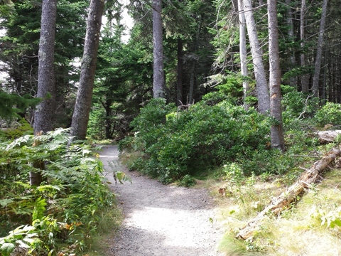 Acadia National Park, Maine