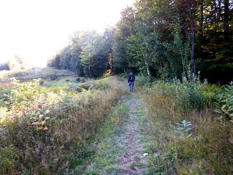 bike Maine, bait-hole River Rail Trail, biking, BikeTripper.net