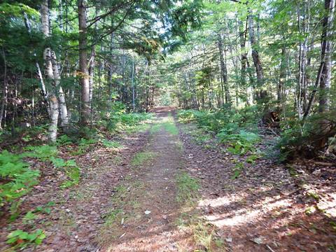 bike Maine, bait-hole River Rail Trail, biking, BikeTripper.net