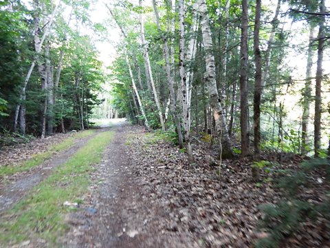 bike Maine, bait-hole River Rail Trail, biking, BikeTripper.net