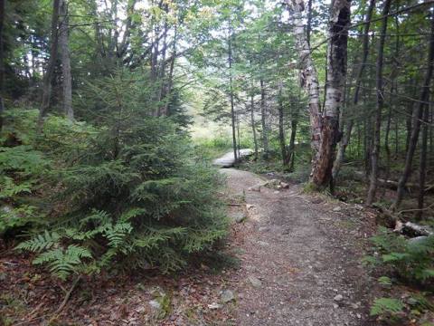 bike Maine, bait-hole River Rail Trail, biking, BikeTripper.net