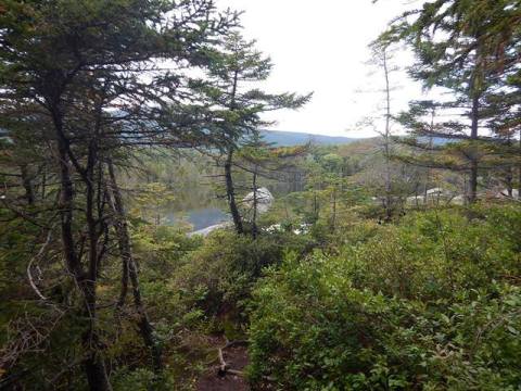 bike Maine, bait-hole River Rail Trail, biking, BikeTripper.net