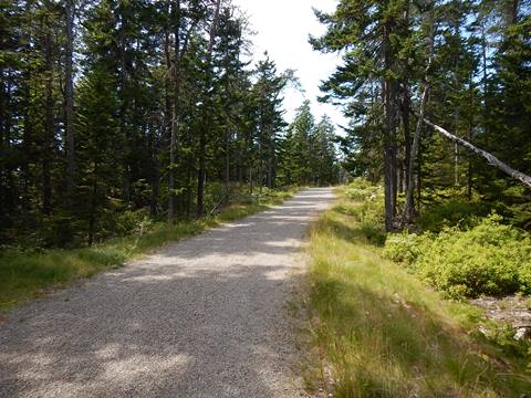 Acadia National Park, Maine