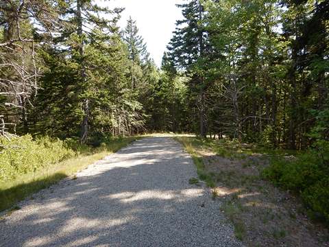 Acadia National Park, Maine