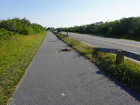 bike Maryland, Assateague, biking, BikeTripper.net