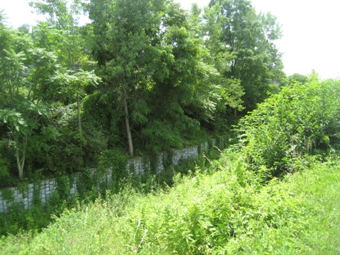 bike Maryland, C&O Canal Towpath, biking, BikeTripper.net