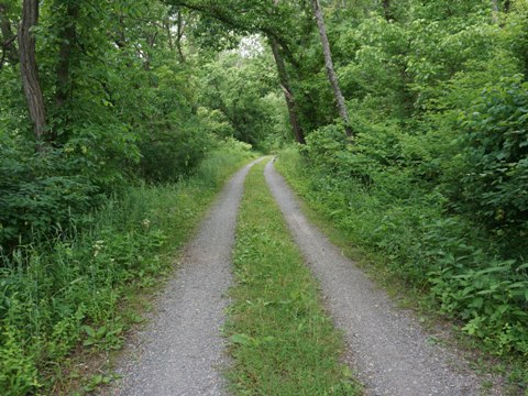 bike Maryland, C&O Canal Towpath, biking, BikeTripper.net