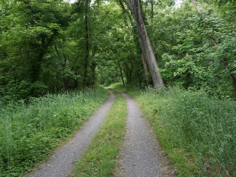 bike Maryland, C&O Canal Towpath, biking, BikeTripper.net