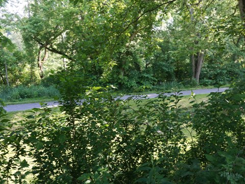 bike Maryland, C&O Canal Towpath, biking, BikeTripper.net