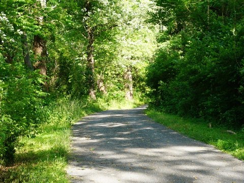 bike Maryland, C&O Canal Towpath, biking, BikeTripper.net