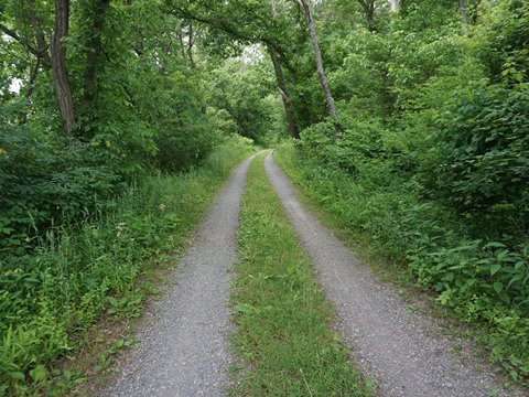 bike Maryland, Western Maryland Rail Trail, biking, BikeTripper.net