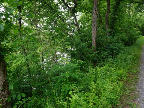 bike Maryland, Western Maryland Rail Trail, biking, BikeTripper.net