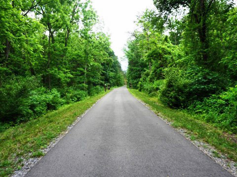 bike Maryland, Western Maryland Rail Trail, biking, BikeTripper.net