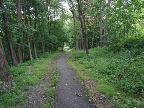 bike New York D&H Canal Towpath, biking, BikeTripper.net