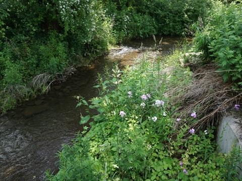 bike New York, Erie Canalway Trail, east-central section, biking, BikeTripper.net