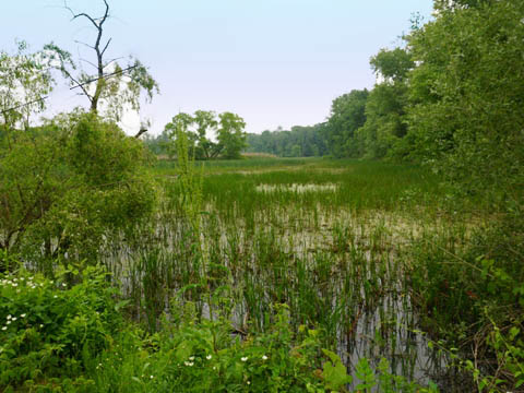 bike New York, Erie Canalway Trail, east section, biking, BikeTripper.net