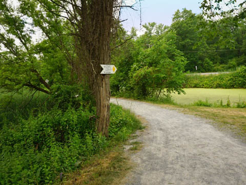 bike New York, Erie Canalway Trail, Empire State Trail, biking, BikeTripper.net