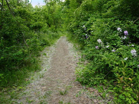 bike New York, Erie Canalway Trail, Empire State Trail, biking, BikeTripper.net