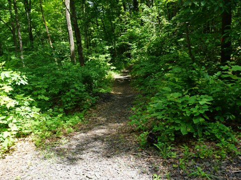 bike New York, Hudson Valley Rail Trail, NY biking, BikeTripper.net