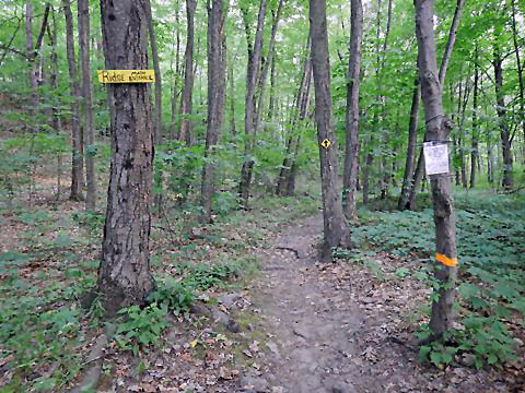 bike New York, Erie Canalway Trail, Empire State Trail, biking, BikeTripper.net