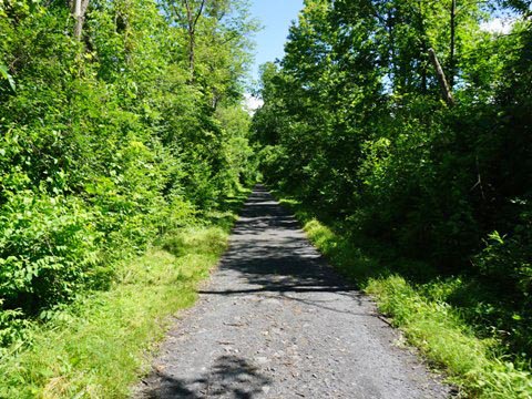 bike New York, Wallkill Valley Rail-Trail, biking, BikeTripper.net