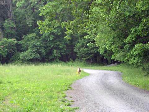 bike New York, Wallkill Valley Rail-Trail, biking, BikeTripper.net