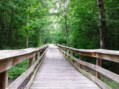 bike North Carolina, Cape Fear River Trail, biking, BikeTripper.net