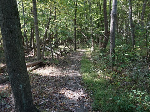 bike Ohio, Summit Metro Bike-Hike Trail, biking, BikeTripper.net