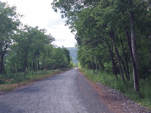 bike Pennsylvania, Pine Creek Trail, biking, BikeTripper.net