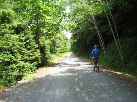 bike Pennsylvania, Pine Creek Trail, biking, BikeTripper.net