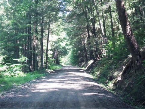 bike Pennsylvania, Pine Creek Trail, biking, BikeTripper.net