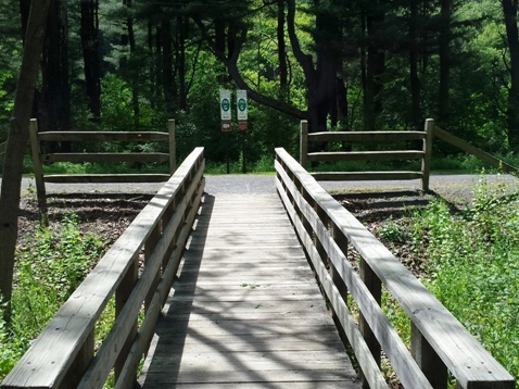 bike Pennsylvania, Pine Creek Trail, biking, BikeTripper.net